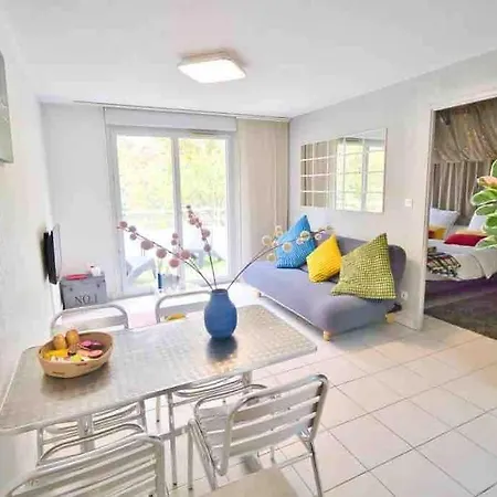 *t2*vue Garonne*piscine*garage* Toulouse